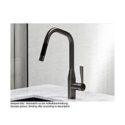 Dornbracht Einhebelmischer Sync H=420 Mm | Pull-down Mit Brausefunktion -Machen Sie es mit der Küchenspüle. dornbracht einhebelmischer sync h420 mm pull down mit brausefunktion3